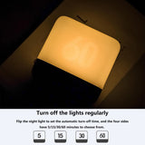 Flip Timing LED Lamp