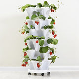 Plant Festival Special 50% OFF - Stand Stacking Planters Strawberry Planting Pots